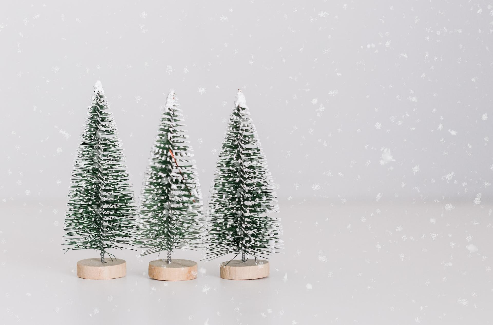 several miniature green-and-white pine tree table decors